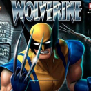 Wolverine